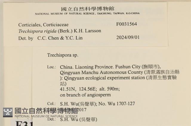 登錄號:F0031564藏品圖，第3張
