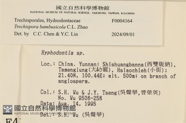 登錄號:F0004164藏品圖，第3張
