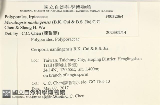 登錄號:F0032064藏品圖，第3張