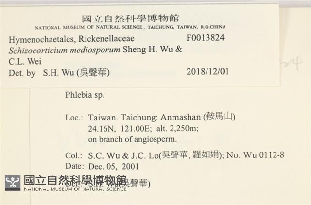 登錄號:F0013824藏品圖，第6張