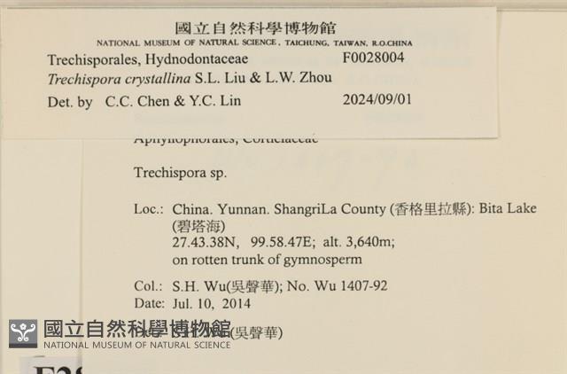 登錄號:F0028004藏品圖，第3張