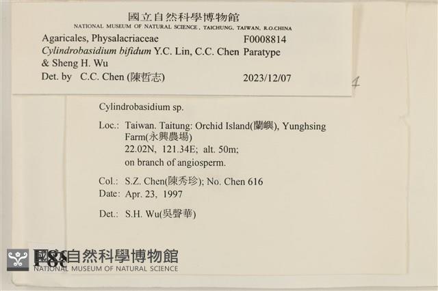 登錄號:F0008814藏品圖，第3張