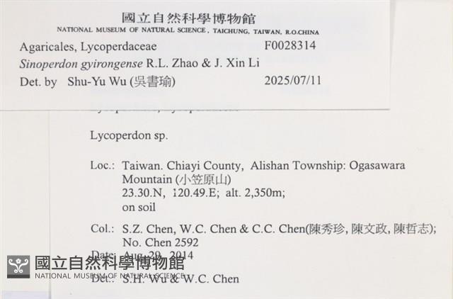 登錄號:F0028314藏品圖，第3張