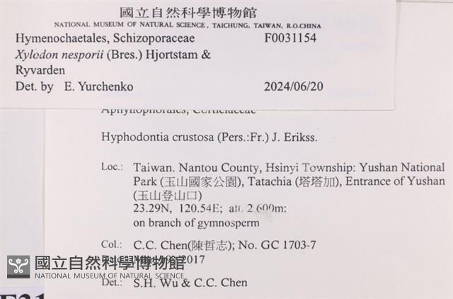 登錄號:F0031154藏品圖，第4張