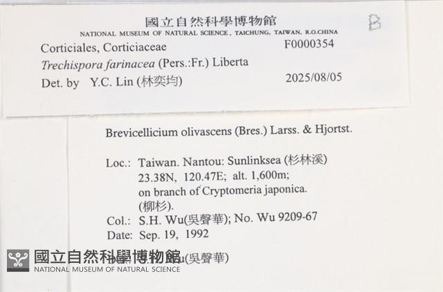 登錄號:F0000354藏品圖，第5張