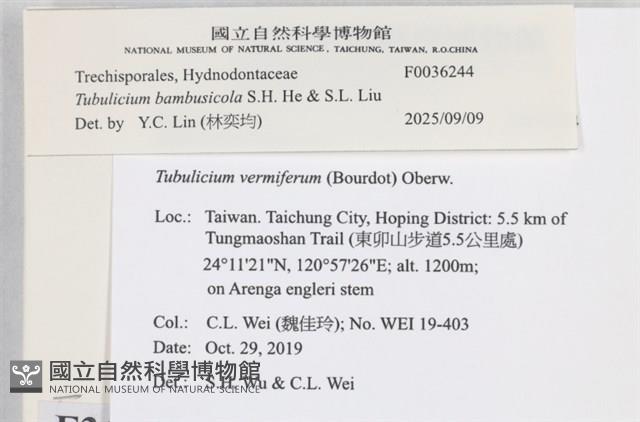 登錄號:F0036244藏品圖，第2張