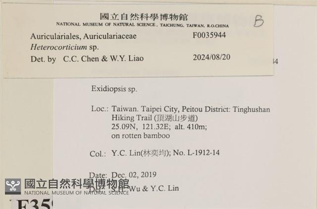 登錄號:F0035944藏品圖，第2張