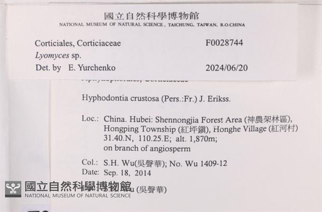 登錄號:F0028744藏品圖，第4張