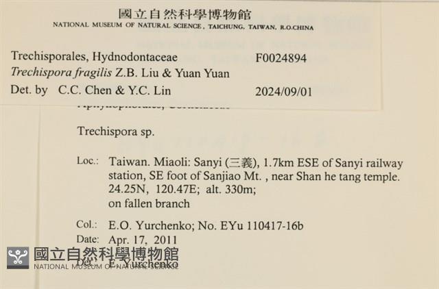登錄號:F0024894藏品圖，第3張