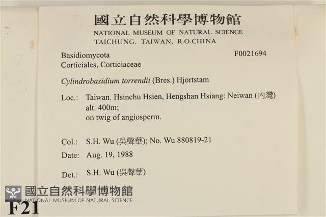 館號:F0031694藏品圖，第3張