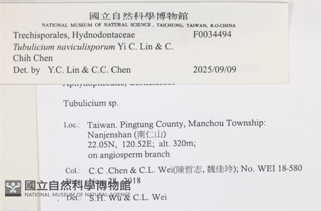 登錄號:F0034494藏品圖，第3張
