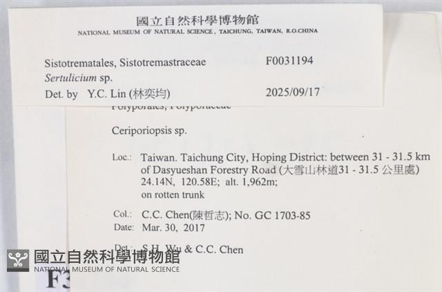 登錄號:F0031194藏品圖，第3張