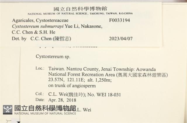 登錄號:F0033194藏品圖，第3張