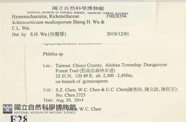 登錄號:F0028394藏品圖，第3張