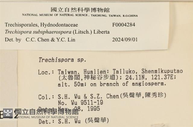 登錄號:F0004284藏品圖，第4張