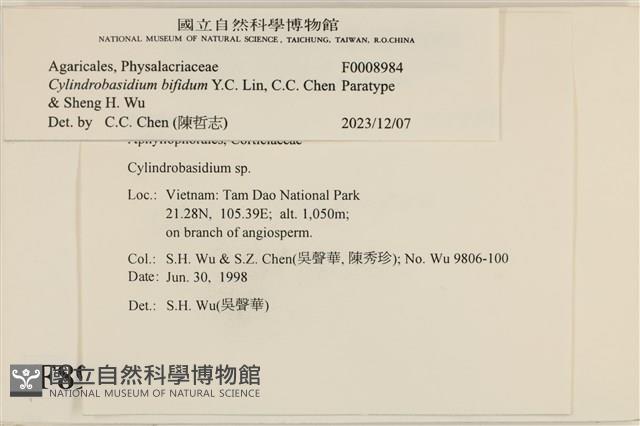 登錄號:F0008984藏品圖，第3張