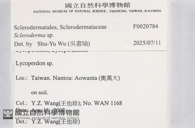 登錄號:F0020784藏品圖，第3張