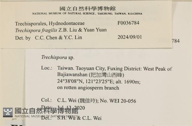 登錄號:F0036784藏品圖，第2張