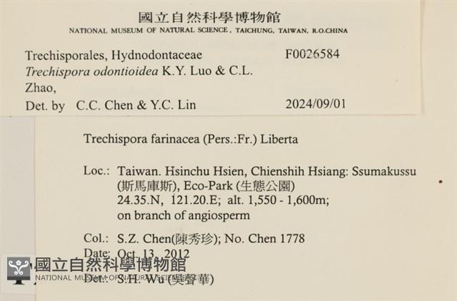 登錄號:F0026584藏品圖，第4張