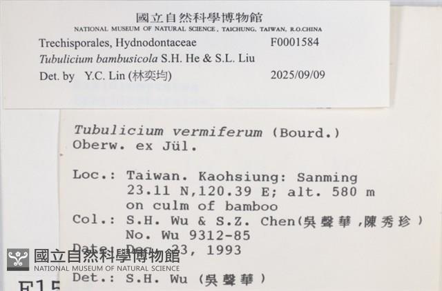 登錄號:F0001584藏品圖，第6張