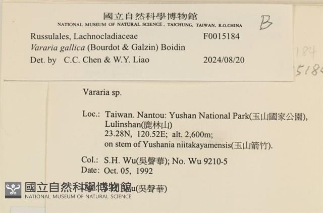登錄號:F0015184藏品圖，第4張