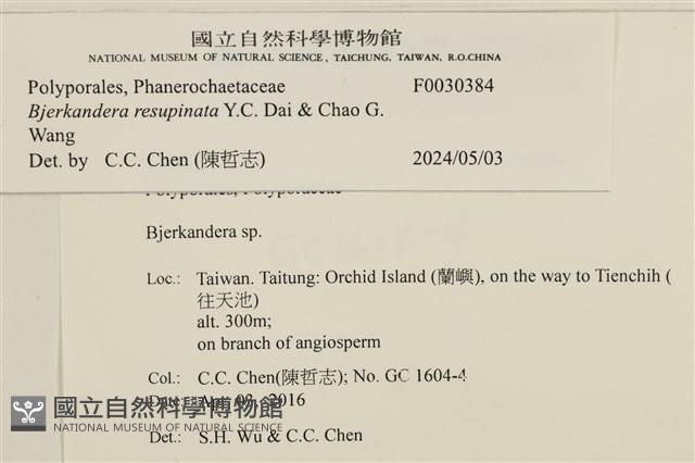 登錄號:F0030384藏品圖，第3張