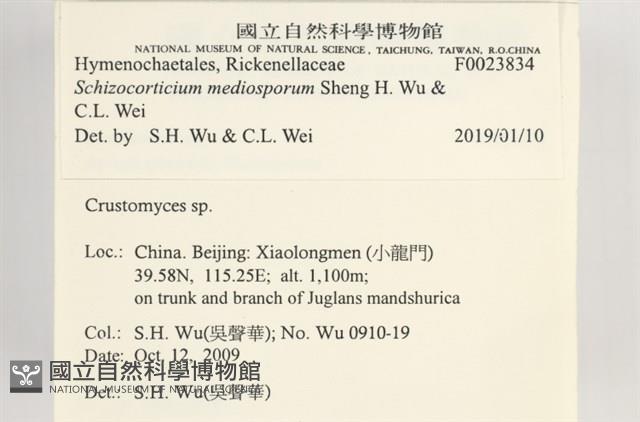 登錄號:F0023834藏品圖，第4張