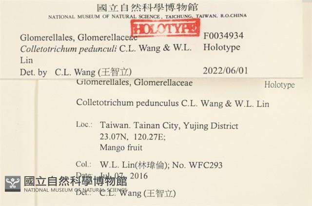 登錄號:F0034934藏品圖，第3張