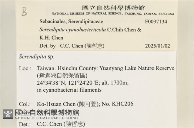 登錄號:F0037134藏品圖，第2張