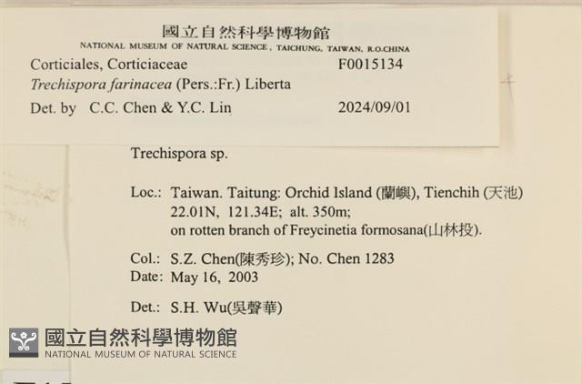 登錄號:F0015134藏品圖，第3張