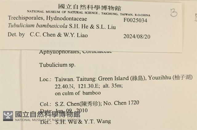 登錄號:F0025034藏品圖，第5張