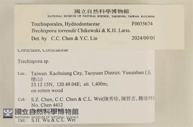 登錄號:F0035674藏品圖，第2張