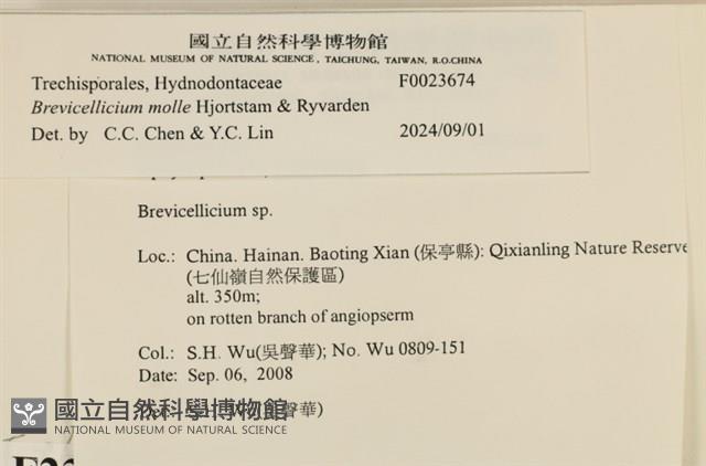 登錄號:F0023674藏品圖，第3張