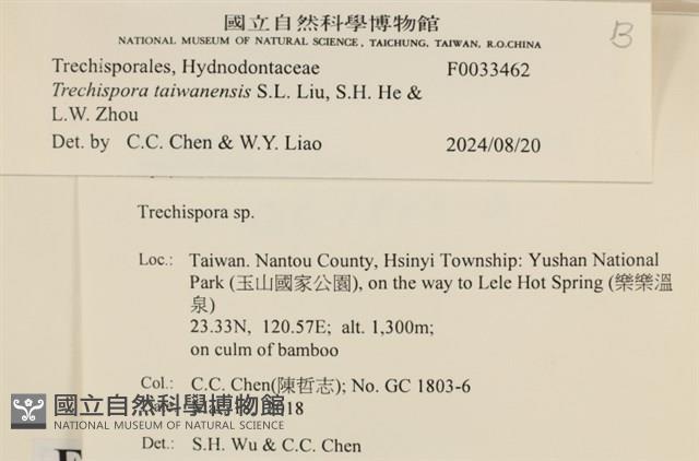 登錄號:F0033462藏品圖，第3張