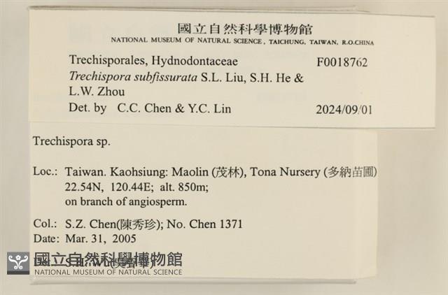 登錄號:F0018762藏品圖，第4張