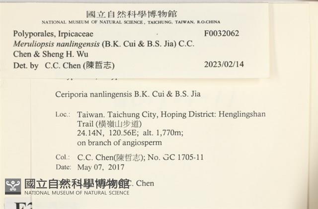 登錄號:F0032062藏品圖，第3張