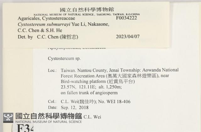 登錄號:F0034222藏品圖，第3張
