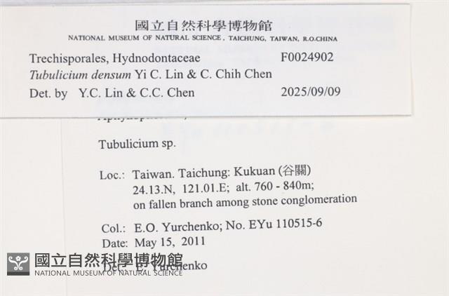Accession Number:F0024902 Collection Image, Figure 4, Total 4 Figures
