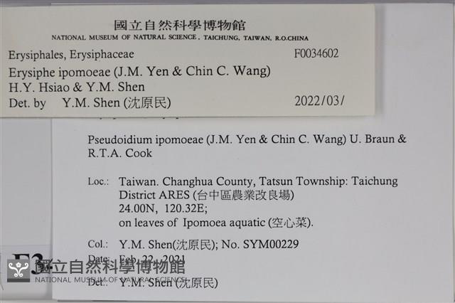 登錄號:F0034602藏品圖，第4張