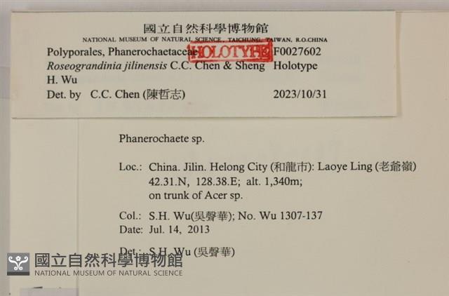 登錄號:F0027602藏品圖，第3張
