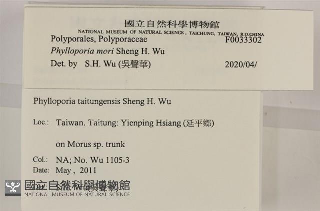 登錄號:F0033302藏品圖，第3張