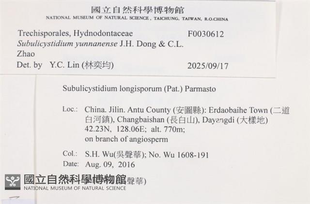 登錄號:F0030612藏品圖，第3張