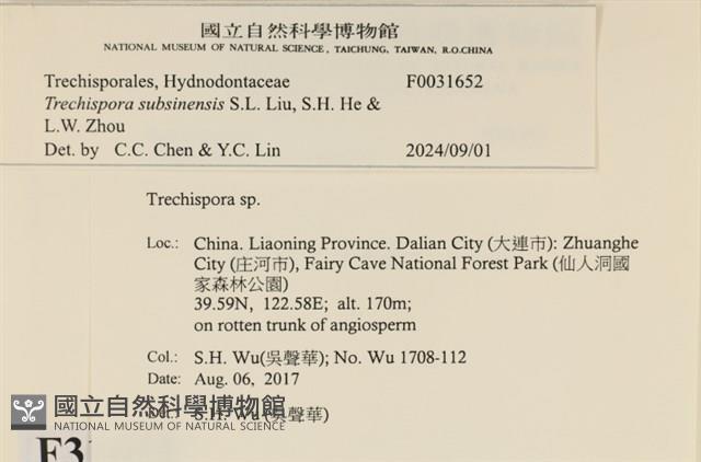 登錄號:F0031652藏品圖，第3張