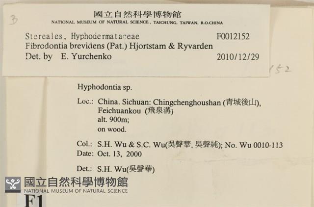 登錄號:F0012152藏品圖，第4張