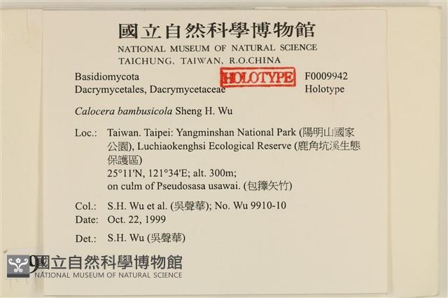 登錄號:F0009942藏品圖，第4張