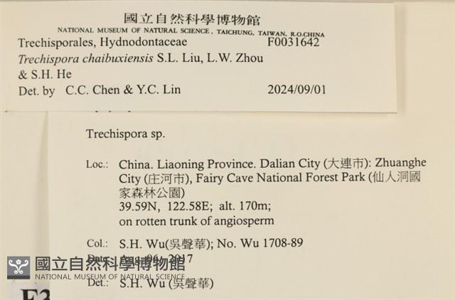 登錄號:F0031642藏品圖，第3張