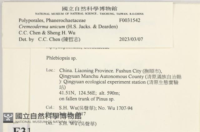 登錄號:F0031542藏品圖，第3張