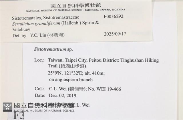 登錄號:F0036292藏品圖，第2張