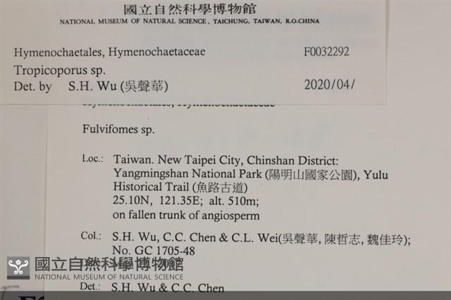 登錄號:F0032292藏品圖，第3張