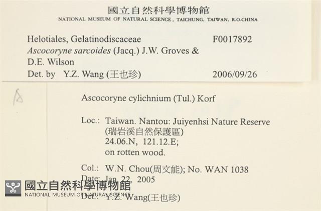 登錄號:F0017892藏品圖，第3張